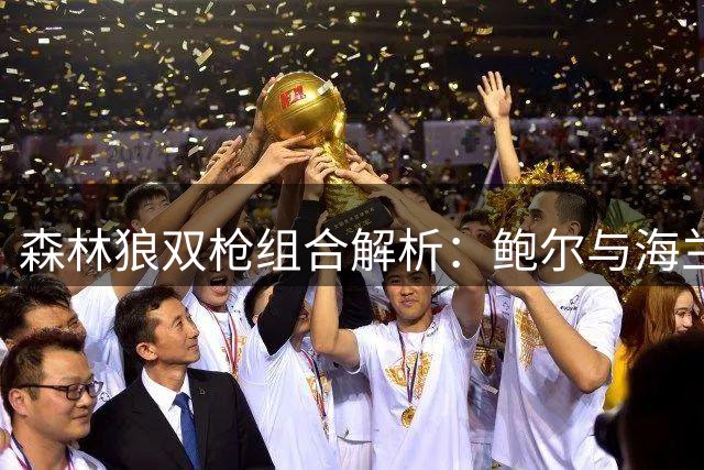 森林狼双枪组合解析：鲍尔与海兰德的球场艺术